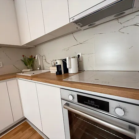 Mk Luxury Apartment Skopje
